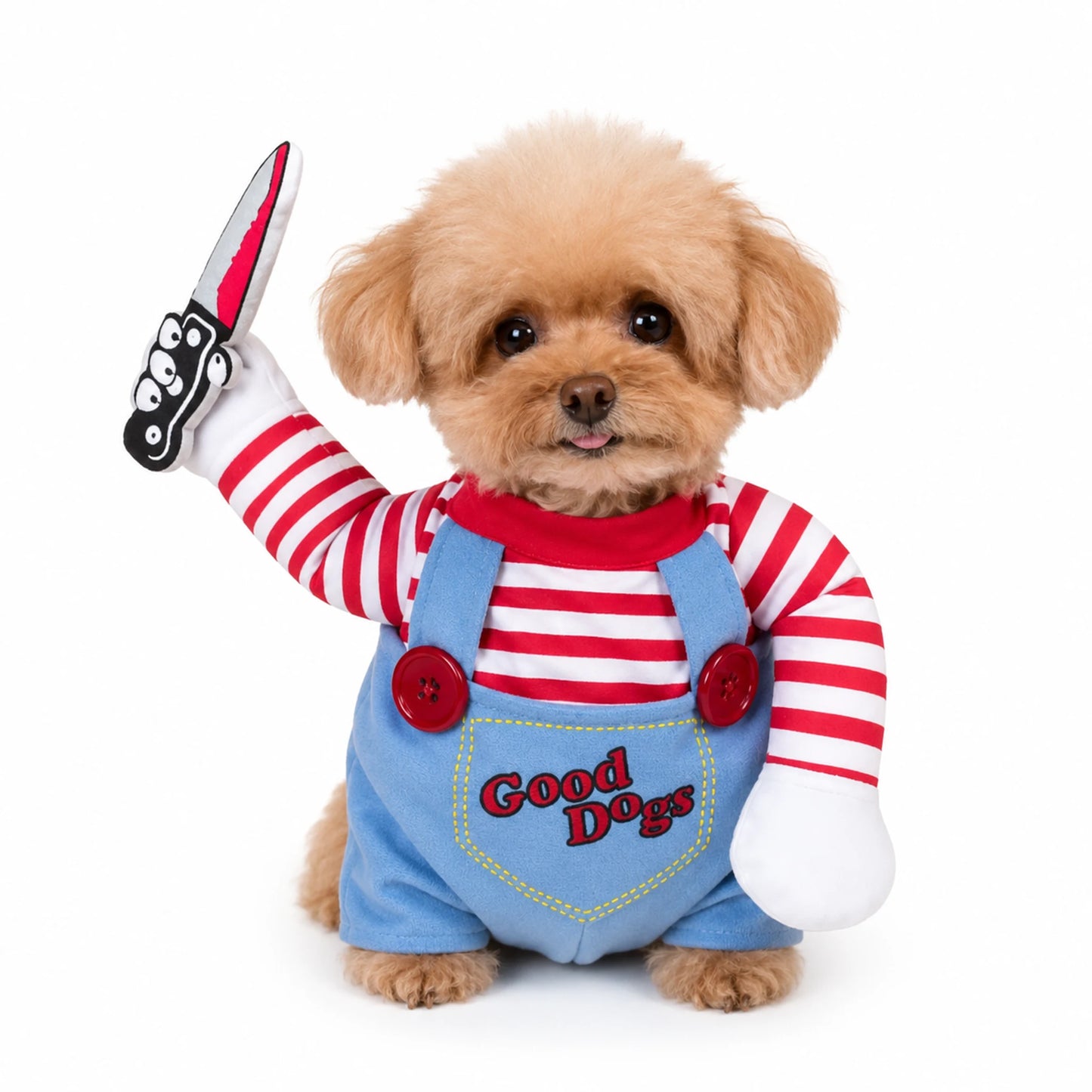 Small dog wearing Good Dogs Halloween costume with striped sleeves and toy knife prop