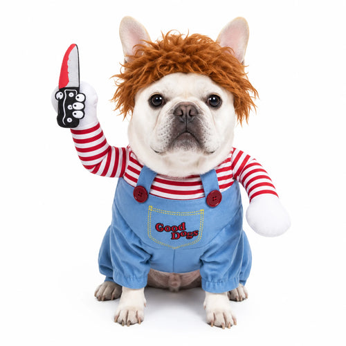 White French Bulldog wearing Halloween doll dog costume on a white background