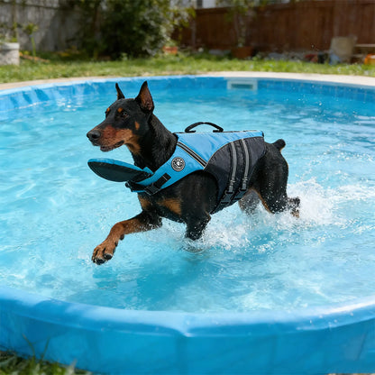 Dog swimming in a pool wearing a blue life jacket