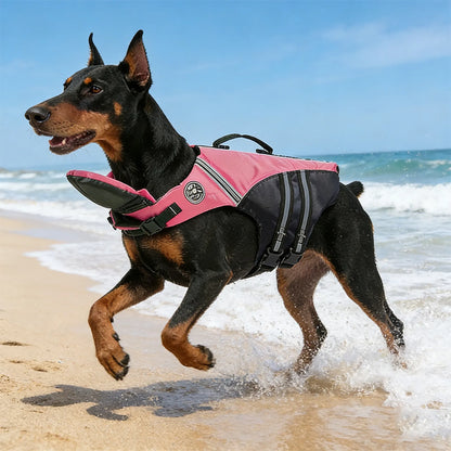 Dog running at the beach in a pink reflective life jacket