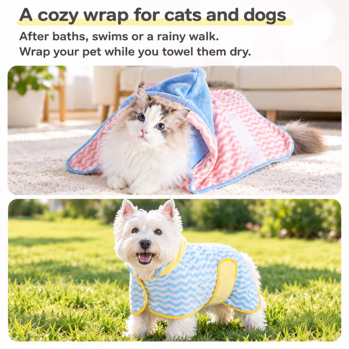 A cat in a pink and blue bathrobe and a dog in a blue and yellow bathrobe