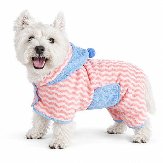 A West Highland White Terrier wearing a pink and blue hooded coral-fleece pet bathrobe on white
