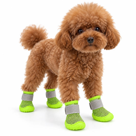 Brown teddy poodle wearing four lime green mesh dog shoes with gray wrap straps on a white background
