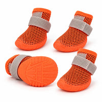 Bright Orange
