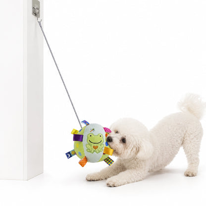 Small white dog tugging a green frog plush bell toy on a diagonal doorway tether