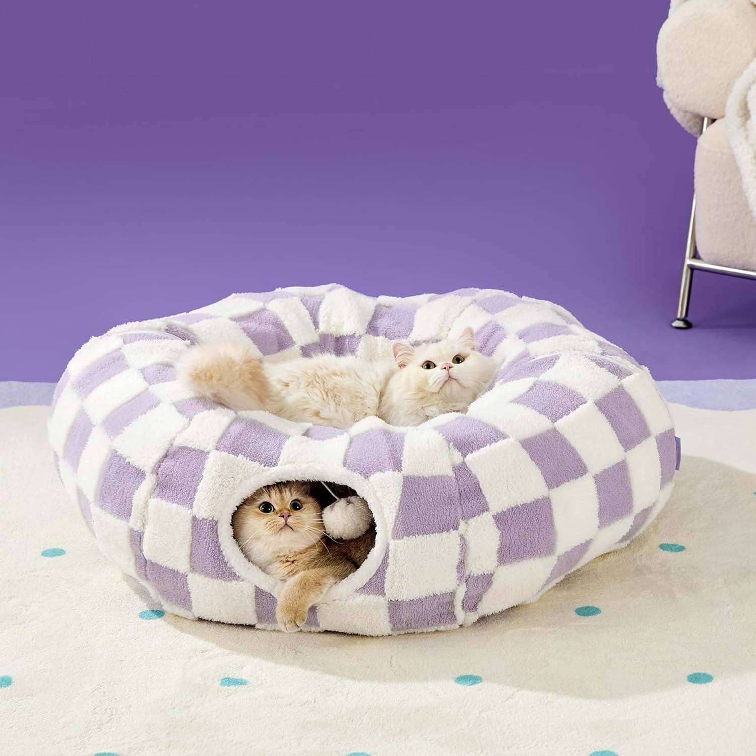 Persian cat curled inside the pastel purple checkered donut cat tunnel bed, viewed from the tunnel entrance.