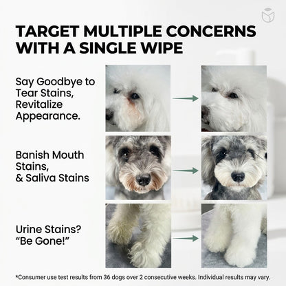White-background infographic showing before-and-after fluffy dog closeups for pet tear stain remover powder, plus mouth and urine stains.