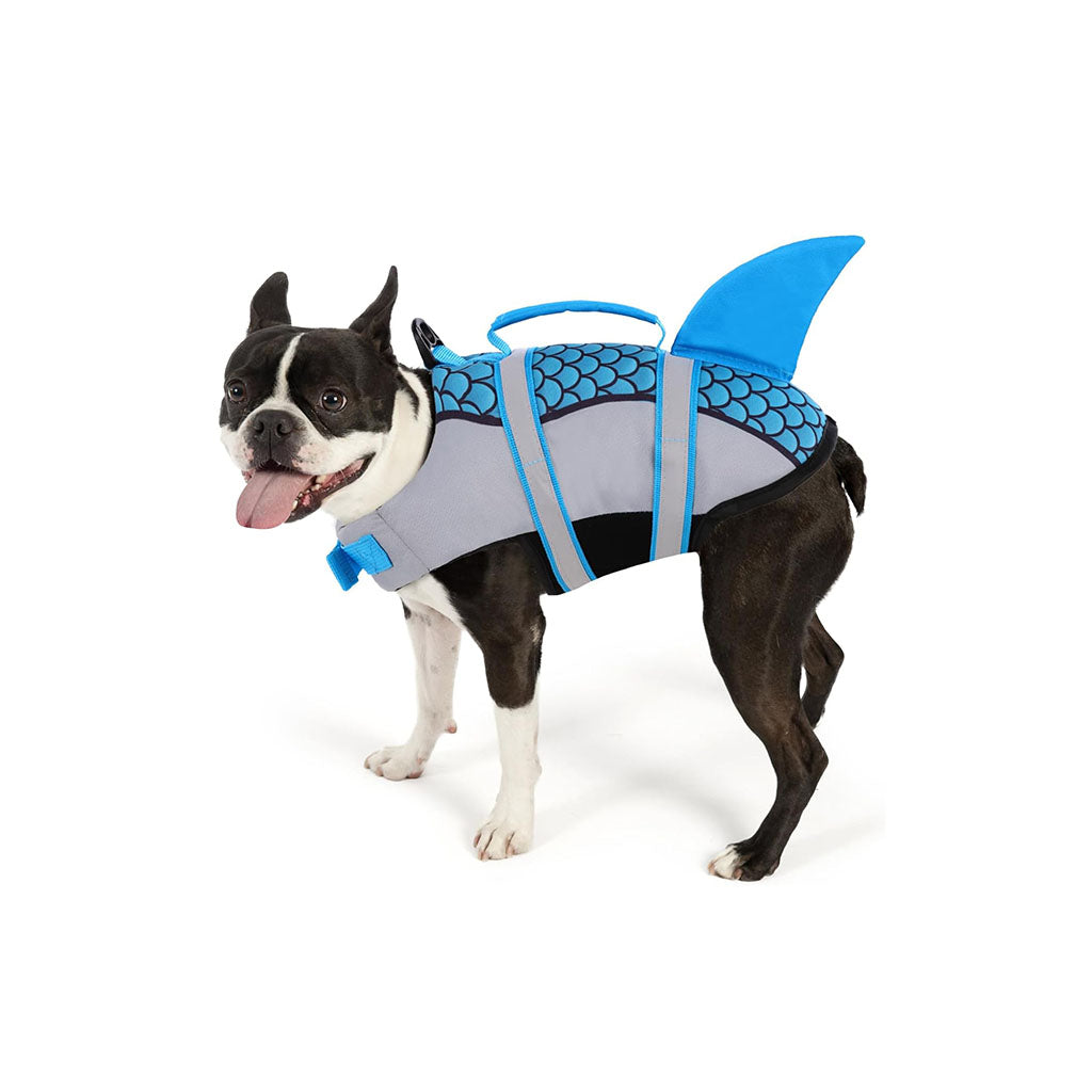 Boston Terrier panting happily while wearing an aesthetic blue shark fin dog life jacket with fish scale patterns on a white background.