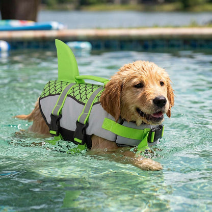 Golden Retriever puppy happily and safely swimming in a pool while wearing a high visibility neon green shark fin dog swim vest.