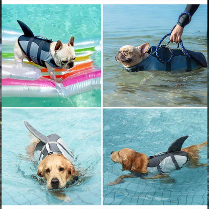 A French Bulldog and a Golden Retriever wearing a grey shark fin dog life jacket, swimming safely in a pool and a lake. Features a high buoyancy dog swim vest with a top rescue handle and leash attachment.