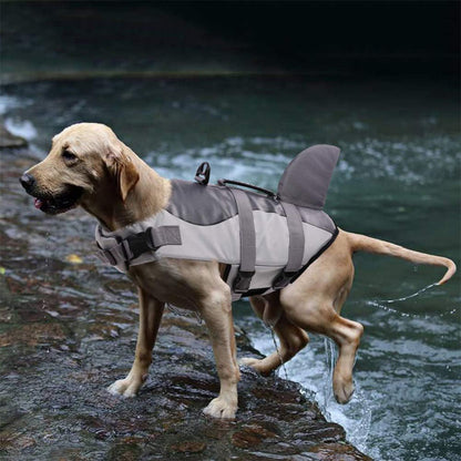 Yellow Labrador wearing a shark fin dog life jacket stands on a rocky riverbank beside dark water.