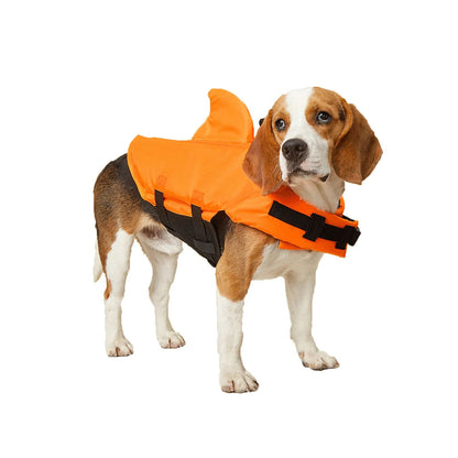 Beagle wearing an orange shark fin dog life jacket with black straps and handle on a white background.
