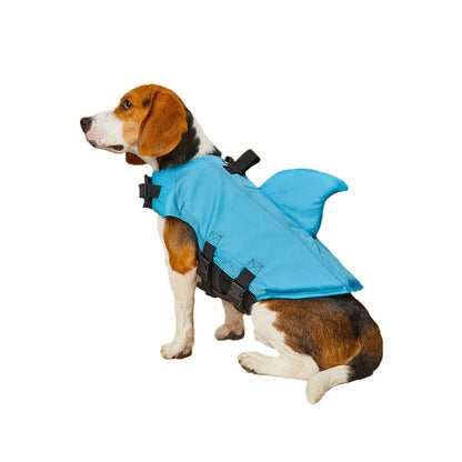 Beagle wearing a blue shark fin dog life jacket with handle, sitting on a white background.