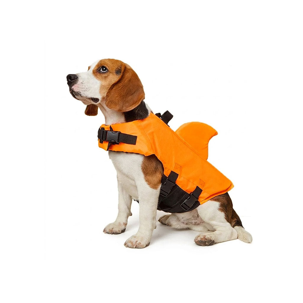 Beagle in an orange shark fin dog life jacket with black straps, seated on a white studio background.