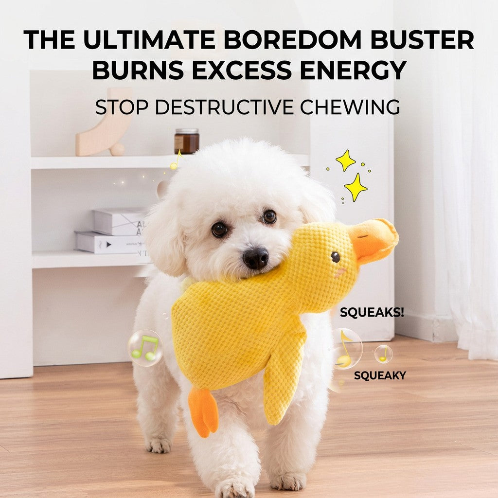 A cute fluffy white Bichon Frise happily holding a yellow squeaky duck plush dog toy in its mouth. Durable pineapple fleece dog chew toy for boredom relief and teething.