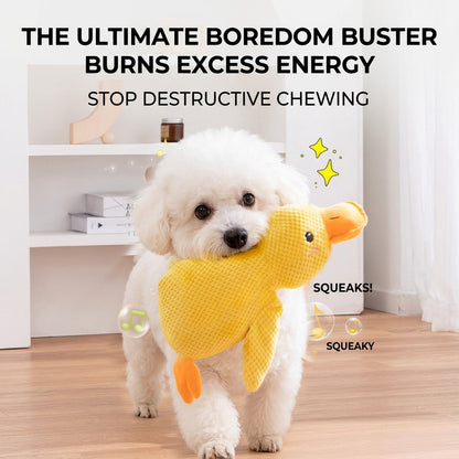 A cute fluffy white Bichon Frise happily holding a yellow squeaky duck plush dog toy in its mouth. Durable pineapple fleece dog chew toy for boredom relief and teething.