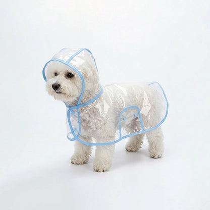 Small white dog wearing the transparent dog raincoat poncho with Sky Blue trim on a white studio background.