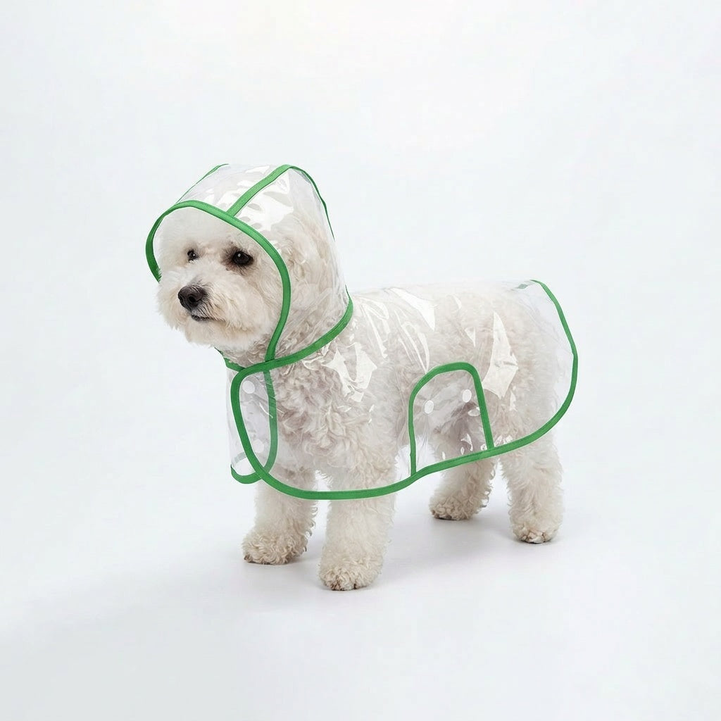 Small white dog wearing the transparent dog raincoat poncho with Mint Green trim on a white studio background.