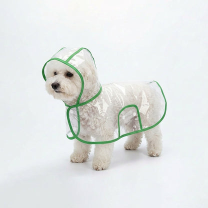 Small white dog wearing the transparent dog raincoat poncho with Mint Green trim on a white studio background.