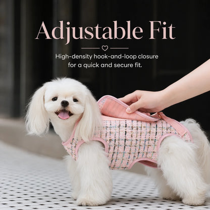 Small white Maltese wearing pink tweed dog carrier harness while owner adjusts the hook-and-loop closure for a secure fit