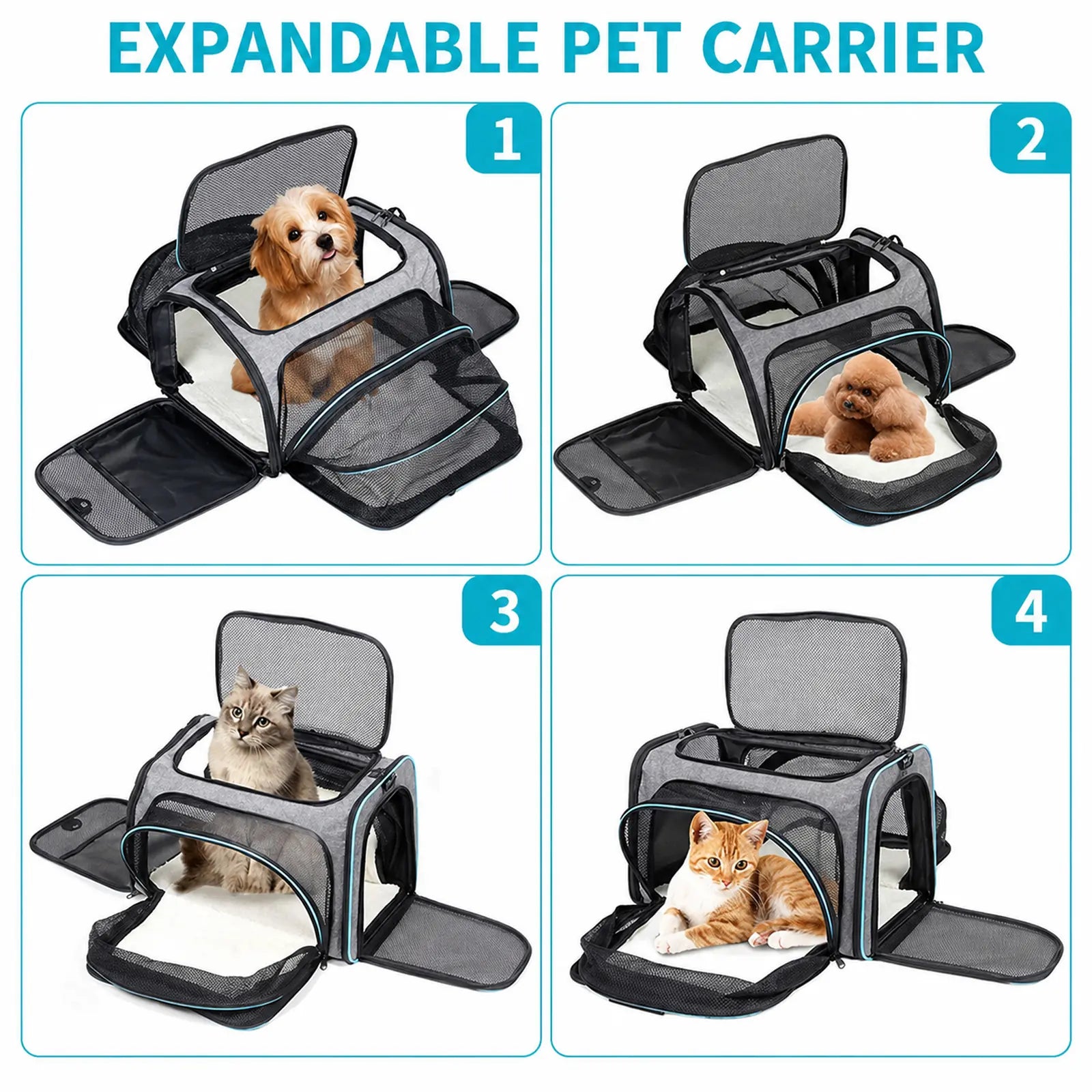 Four panels showing different pets inside the expanded gray-and-blue pet carrier