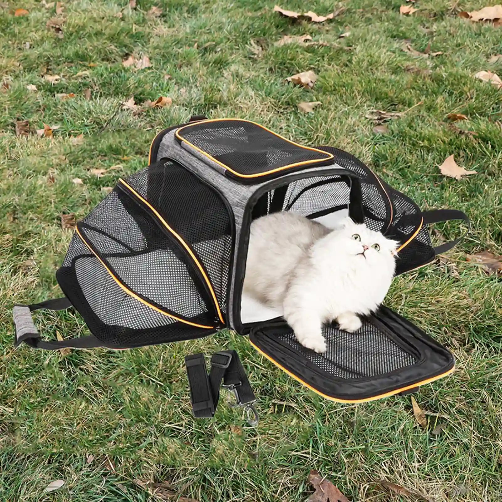 White cat inside gray pet carrier with orange trim, fully expanded on grass