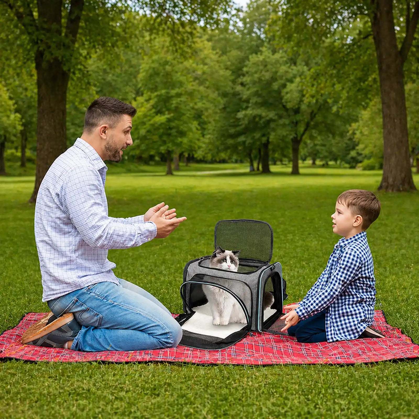 Family picnic with cat inside gray-and-blue expandable pet carrier on plaid blanket