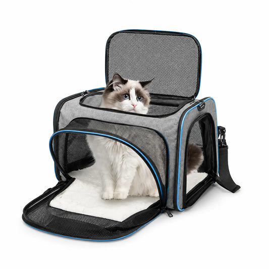 Expandable soft-sided pet carrier in gray with blue trim, gray-and-white cat sitting inside, white background