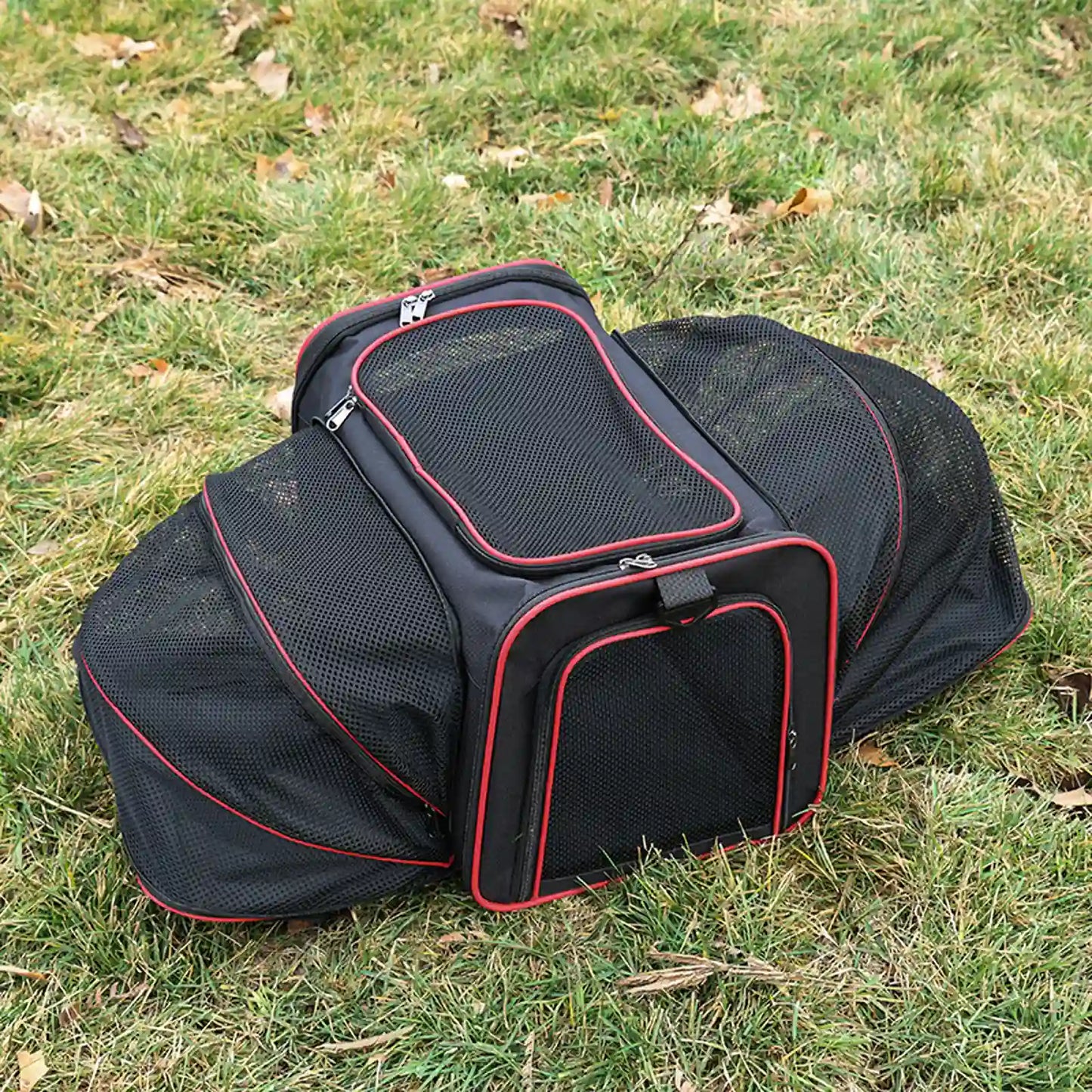 Black expandable pet carrier with red trim, fully expanded on grass