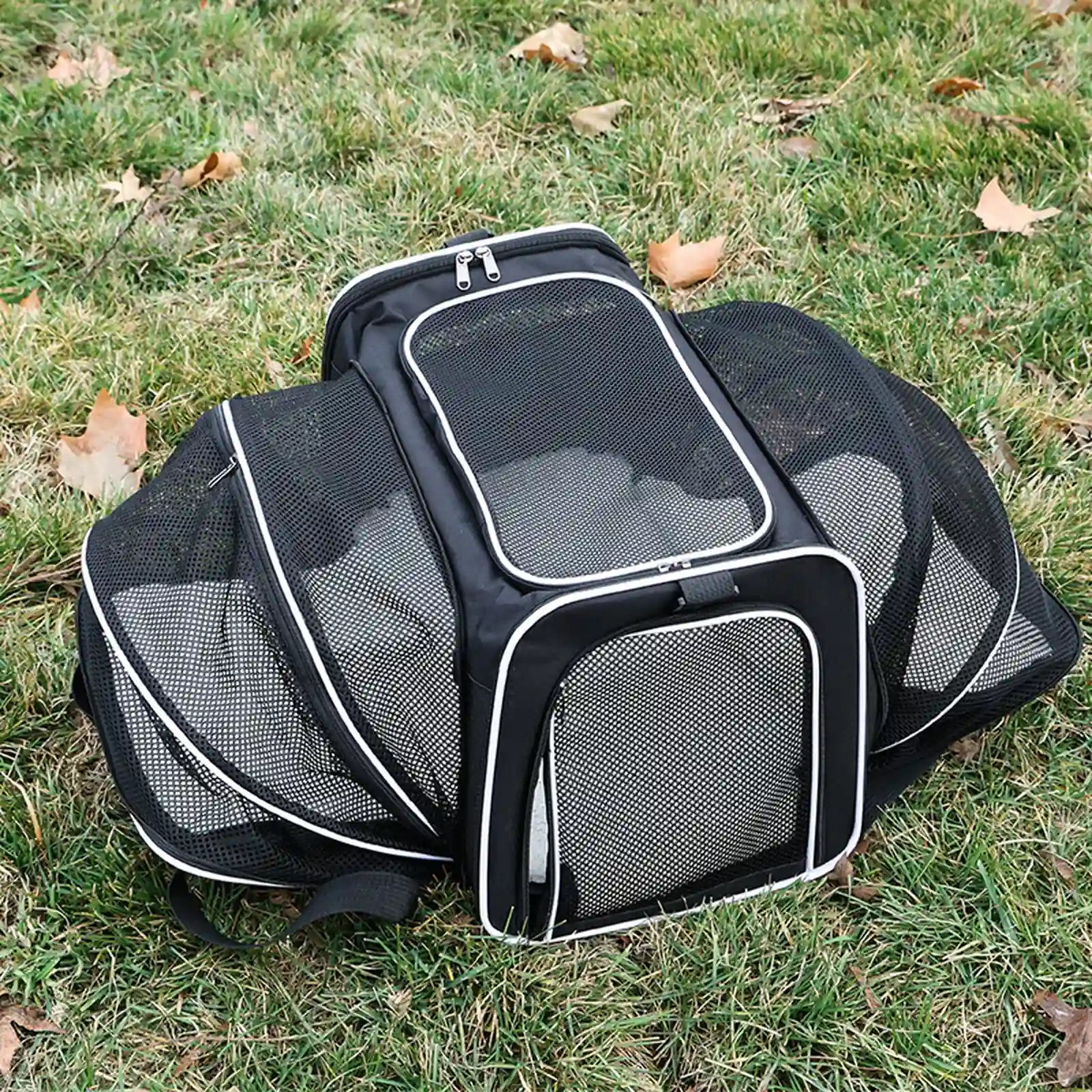 Black expandable pet carrier with white trim, fully expanded on grass