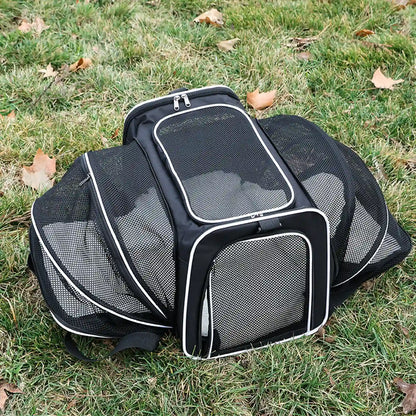 Black expandable pet carrier with white trim, fully expanded on grass