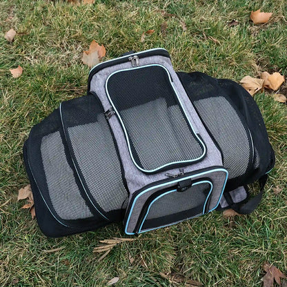 Gray expandable pet carrier with blue trim, top-down view fully expanded