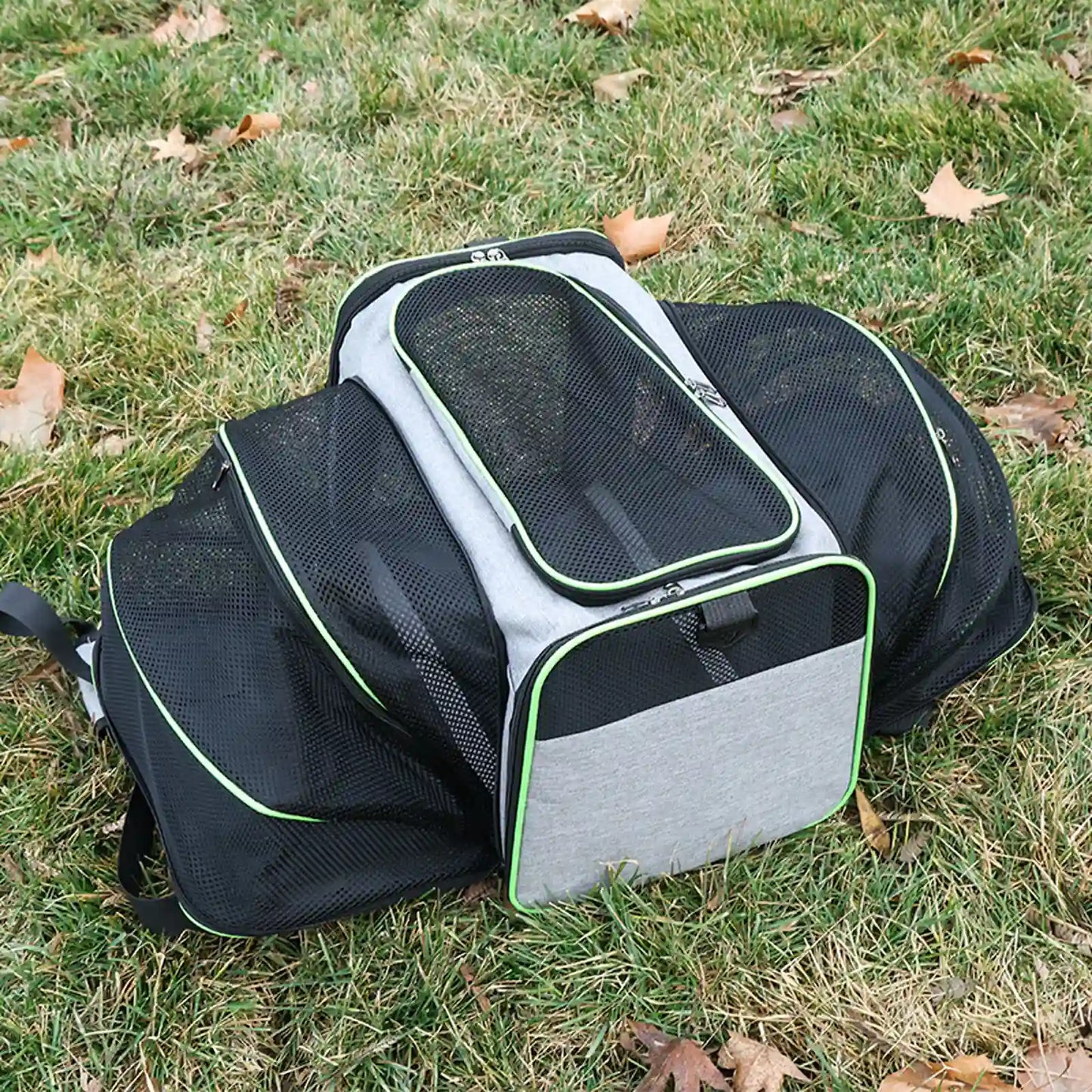 Gray expandable pet carrier with green trim, fully expanded on grass