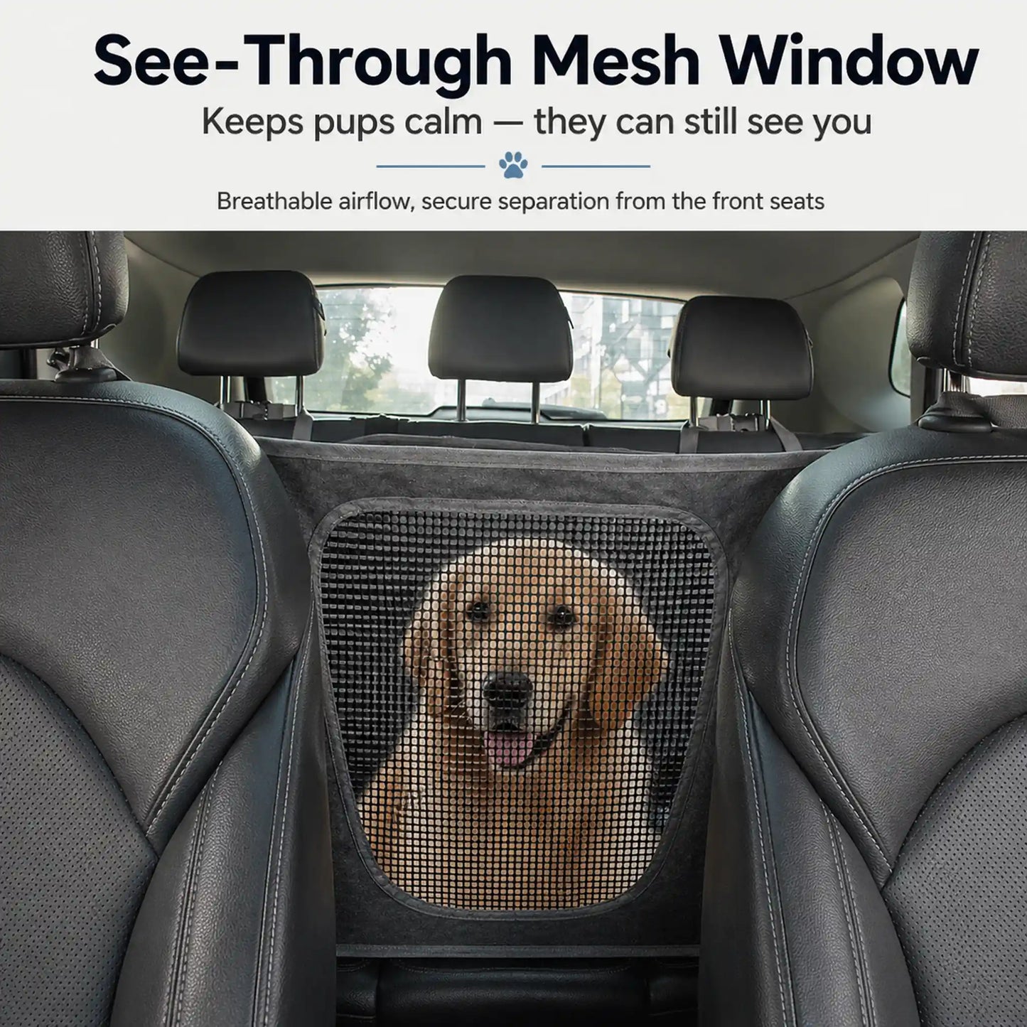 Central mesh window in gray dog car seat divider with Golden Retriever visible behind