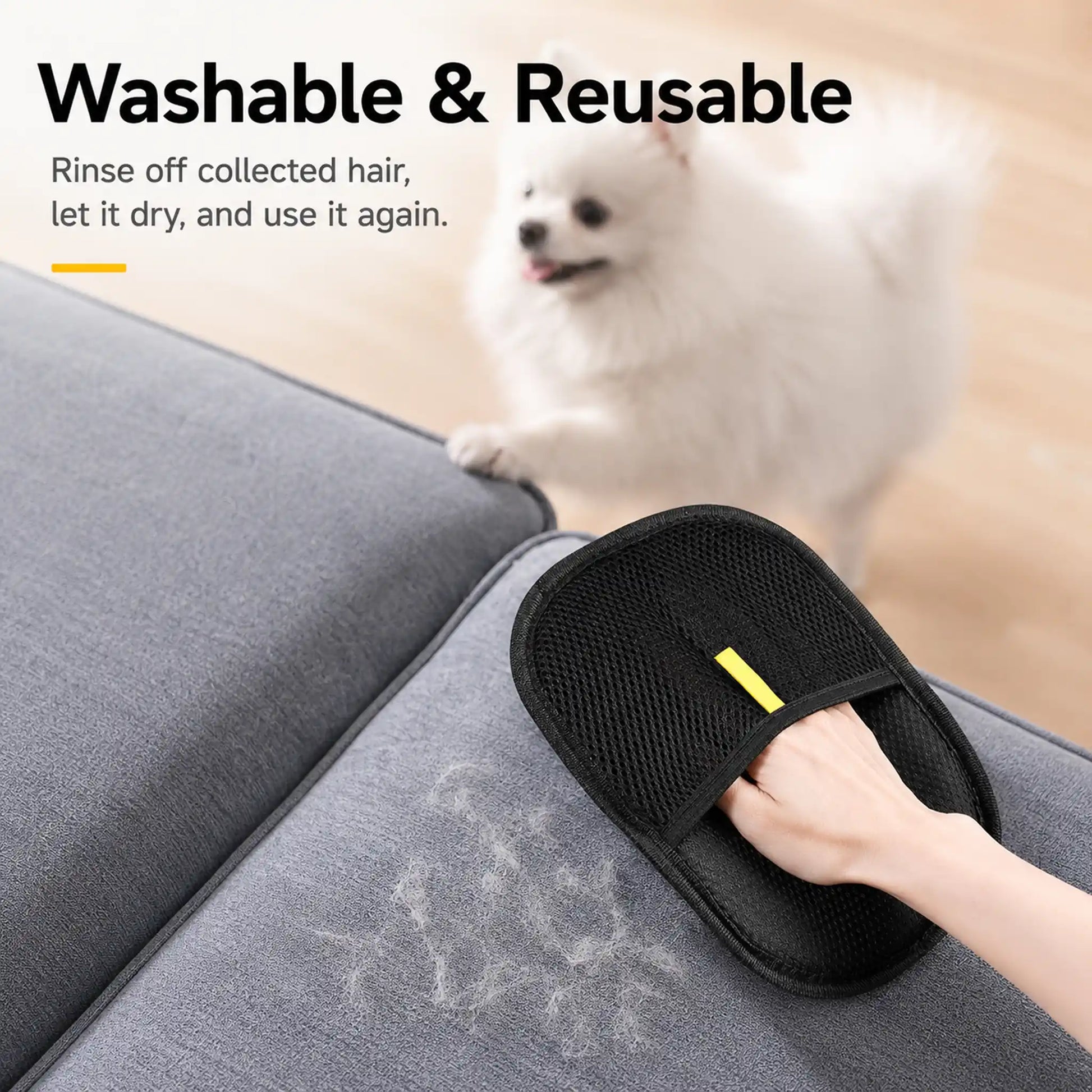 Washable reusable pet hair glove cleaning loose fur from sofa fabric