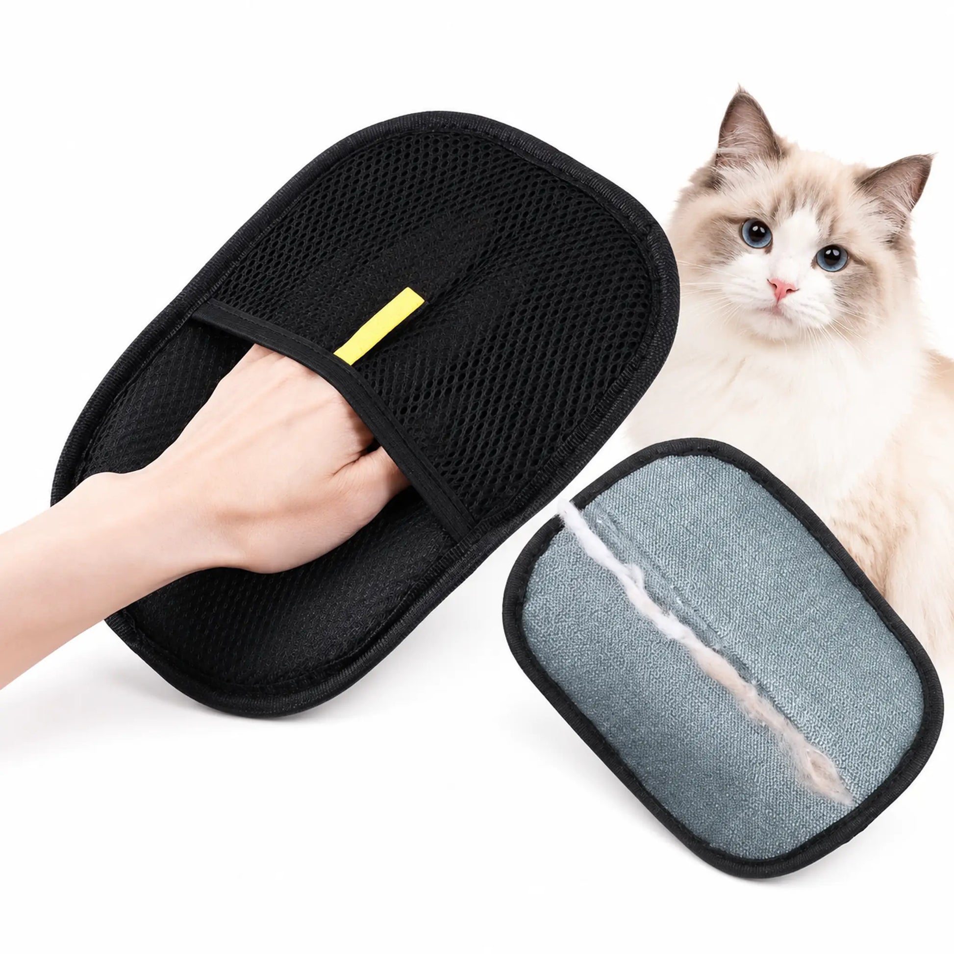 Black pet hair removal glove worn by hand with cat on white background