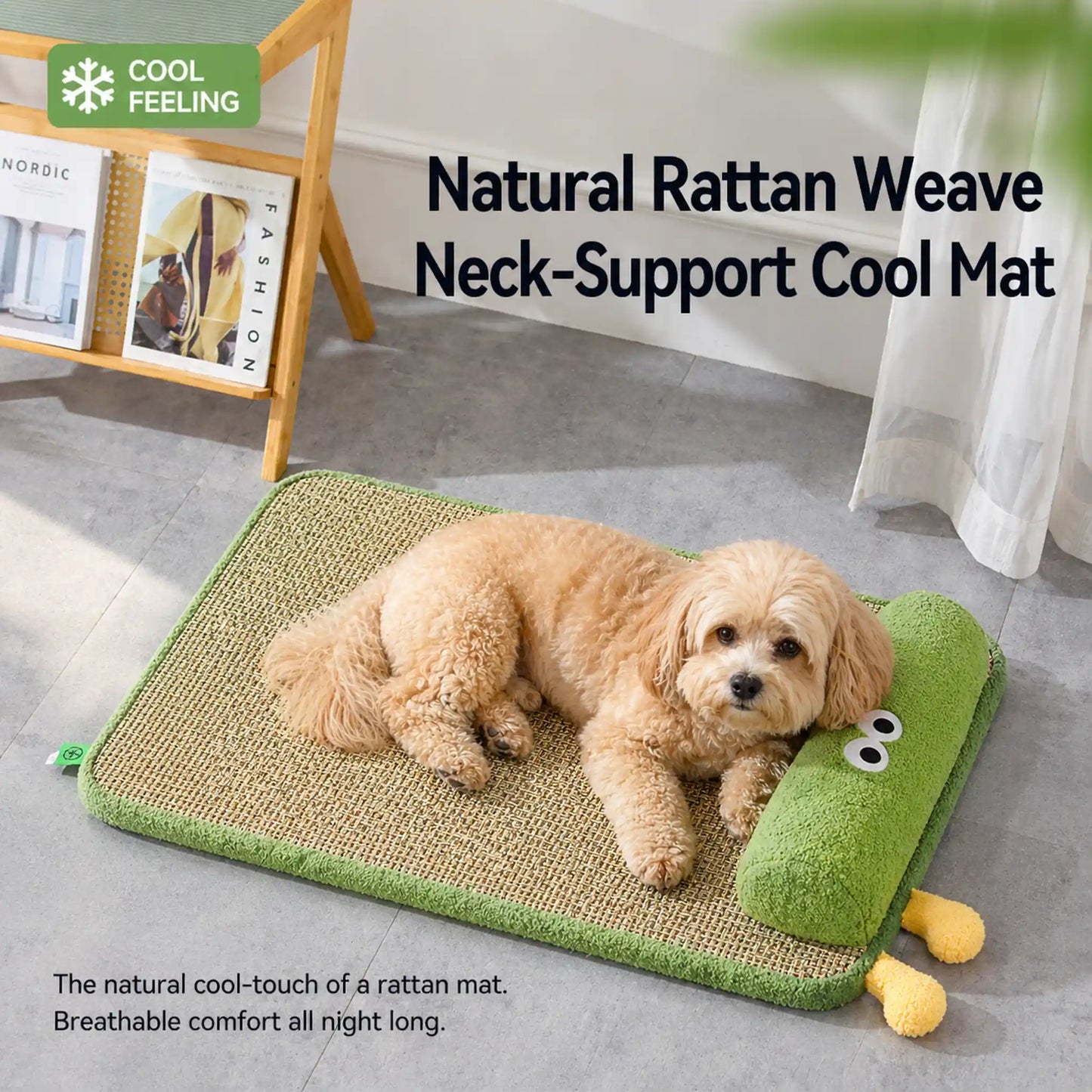 Maltipoo dog resting on green rattan-weave pet bed with raised bolster