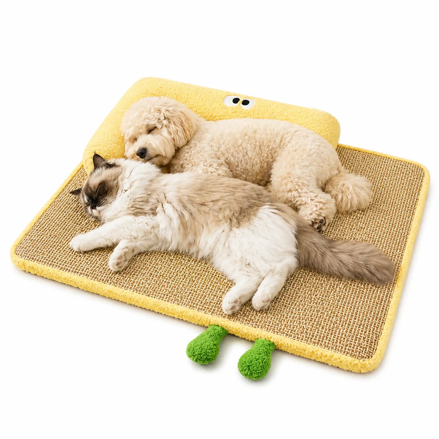 Maltipoo and long-haired cat napping together on yellow rattan-weave pet bed