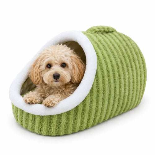Maltipoo dog peeking out of a green slipper-shape plush pet cave bed with white trim