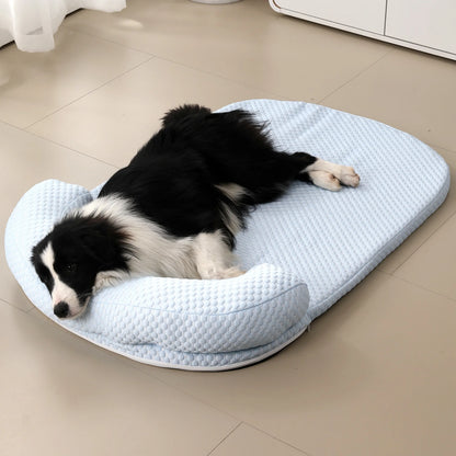 Border collie lying on light blue cooling bed in living room