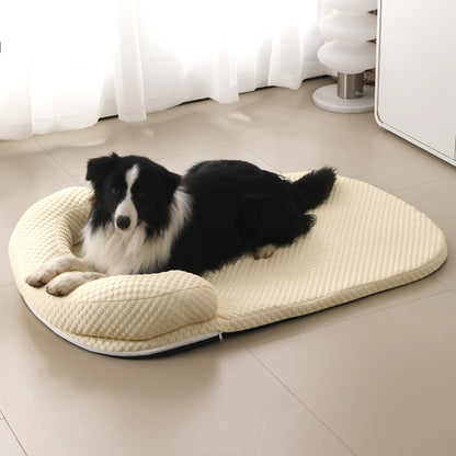 Border collie sitting on cream cooling bed indoor
