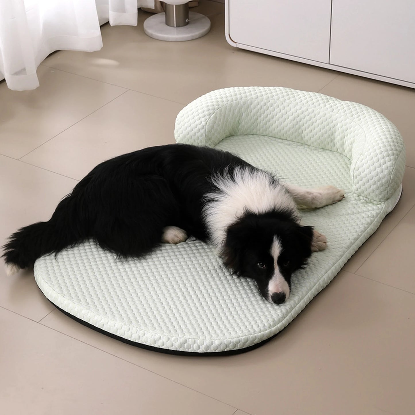 Border collie resting on mint green cooling pet bed