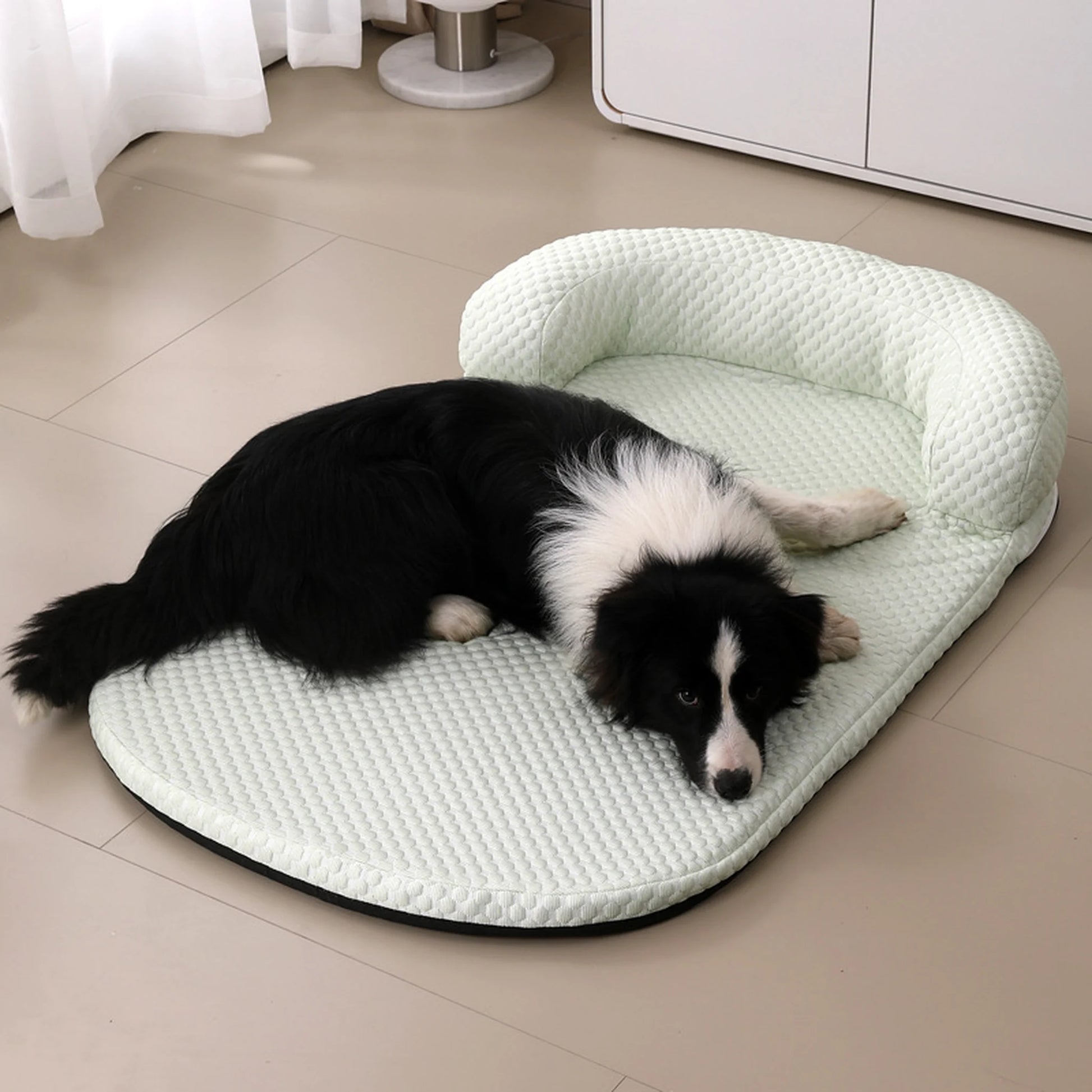 Border collie resting on mint green cooling pet bed