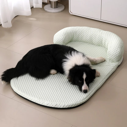 Border collie resting on mint green cooling pet bed