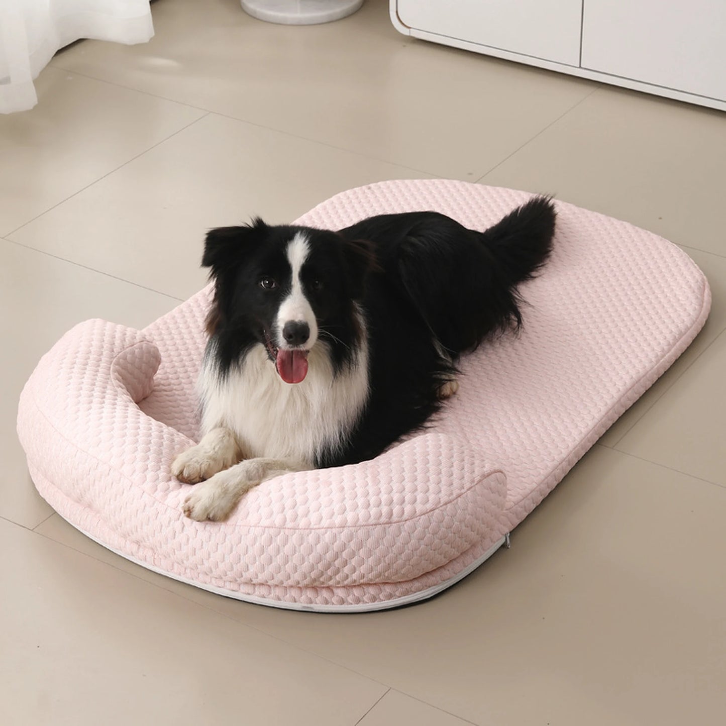 Border collie on pink cooling pet bed indoor