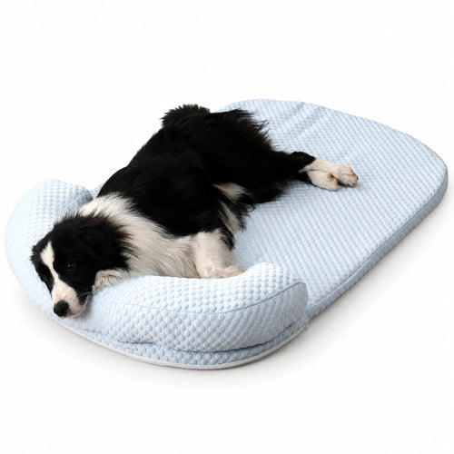 Border collie lying on blue ice-silk cooling pet bed with bolster pillow