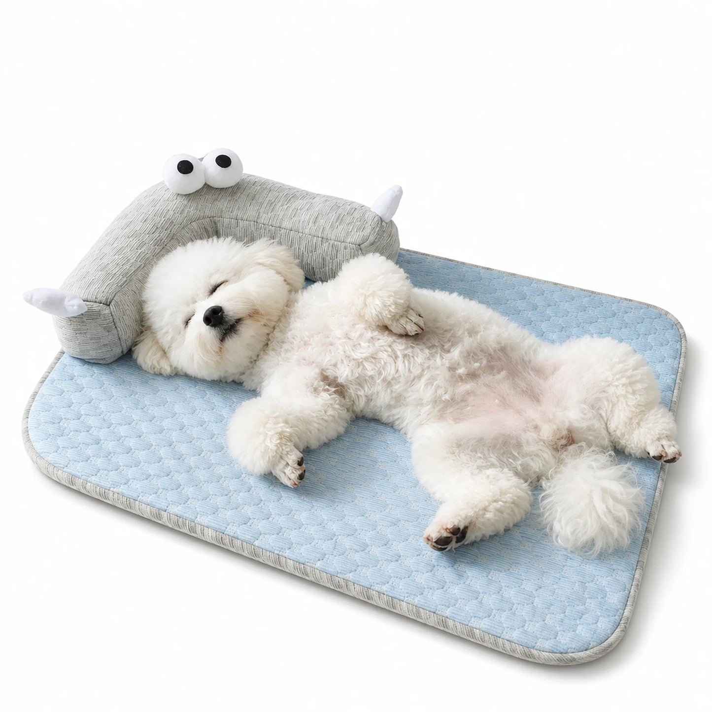 Bichon Frise resting head on raised L-bolster monster pillow on Sky Blue cooling pet mat, white studio