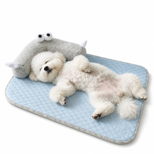 Bichon Frise resting head on raised L-bolster monster pillow on Sky Blue cooling pet mat, white studio