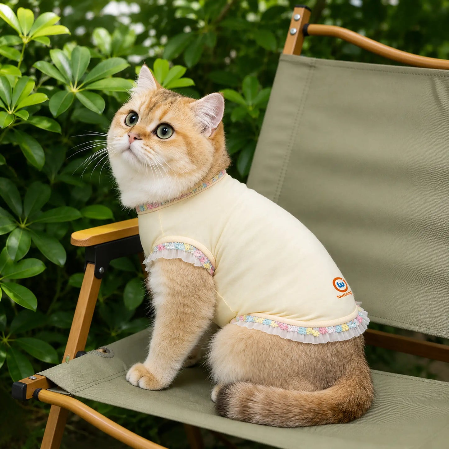 Cat wearing cream cooling pet shirt in outdoor chair