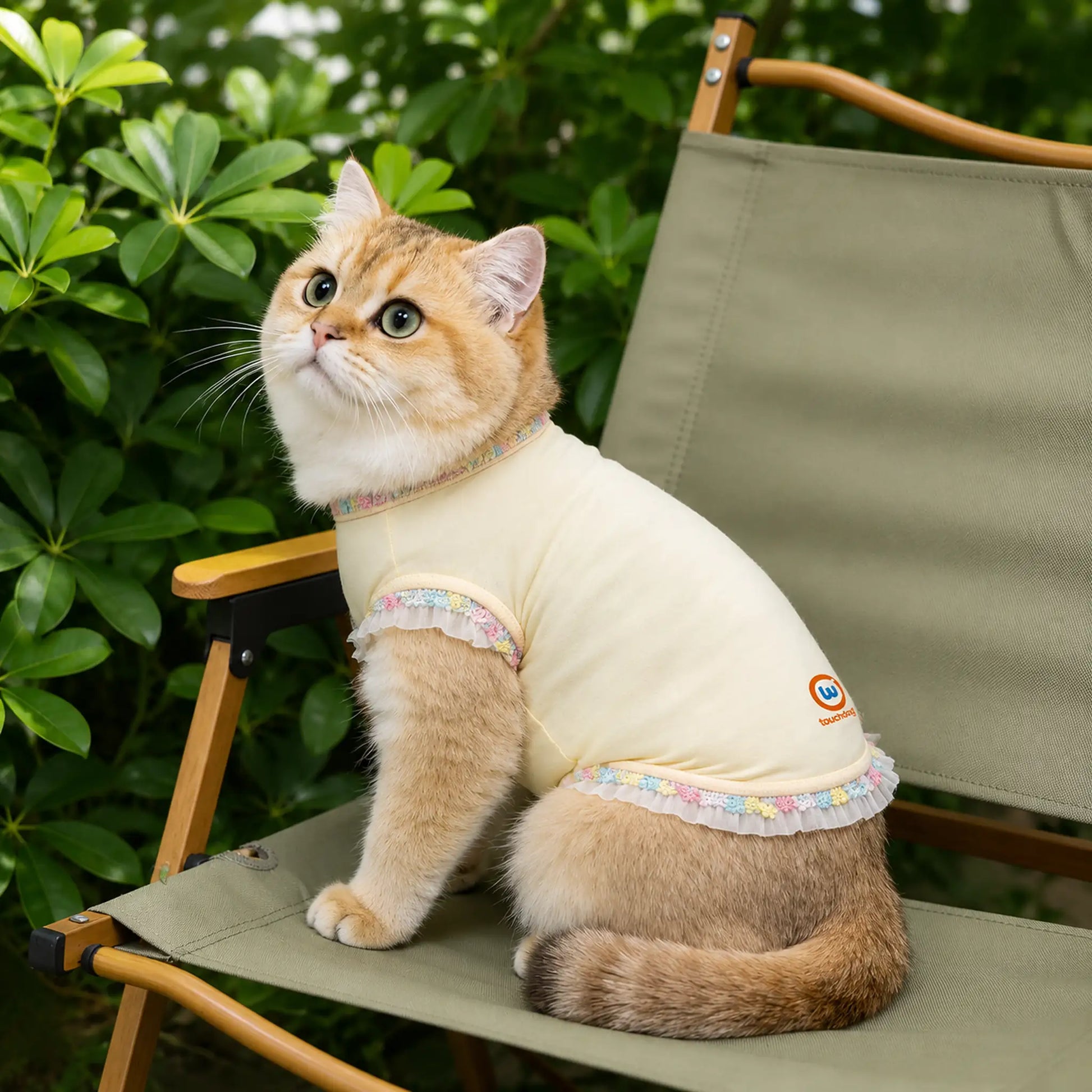 Cat wearing cream cooling pet shirt in outdoor chair